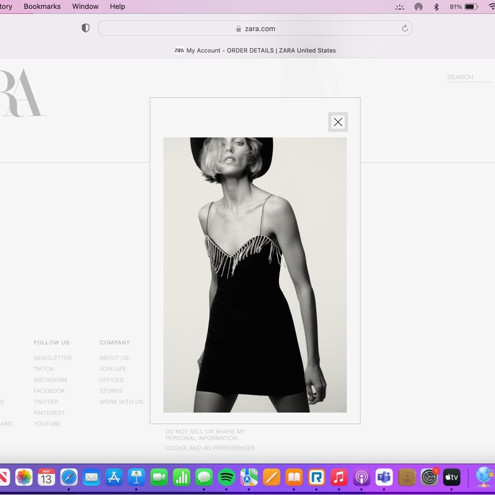 Zara dress